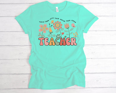 Teacher